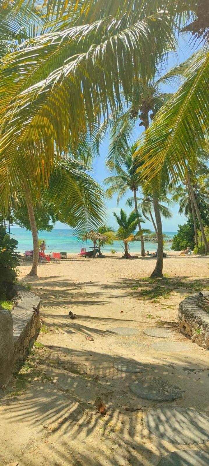 Studio Mojito Vue Mer,Piscine Avec Cuve Eau Et Acces Plage Et Piscine Anse Des Rochers 생프랑수아 외부 사진